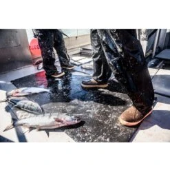 Xtratuf Men's 15" Elite Legacy WP Insulated Rubber Work Boot - Copper - 22613 -Overlook Boots Online Shop 22613 CTM 8 2400x 4094e913 49b9 4867 933b 8b9744c0a256