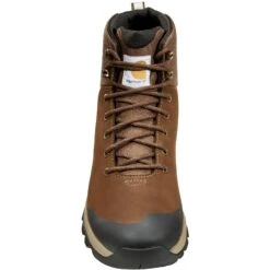 Carhartt Men's 5" WP Alloy Toe Hiker Boot - Dark Brown - FH5520-M -Overlook Boots Online Shop FH5520 M FH5020 M6